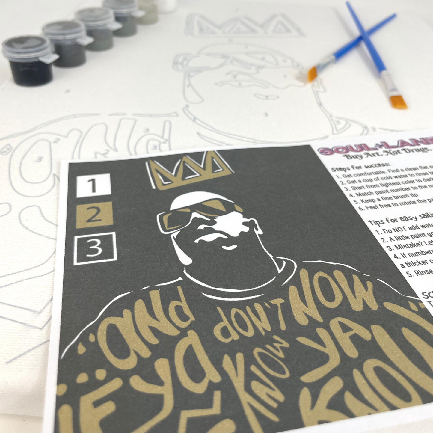 Picture of the items that it includes: numbered paint pods, brushes, rendering, and instructions.