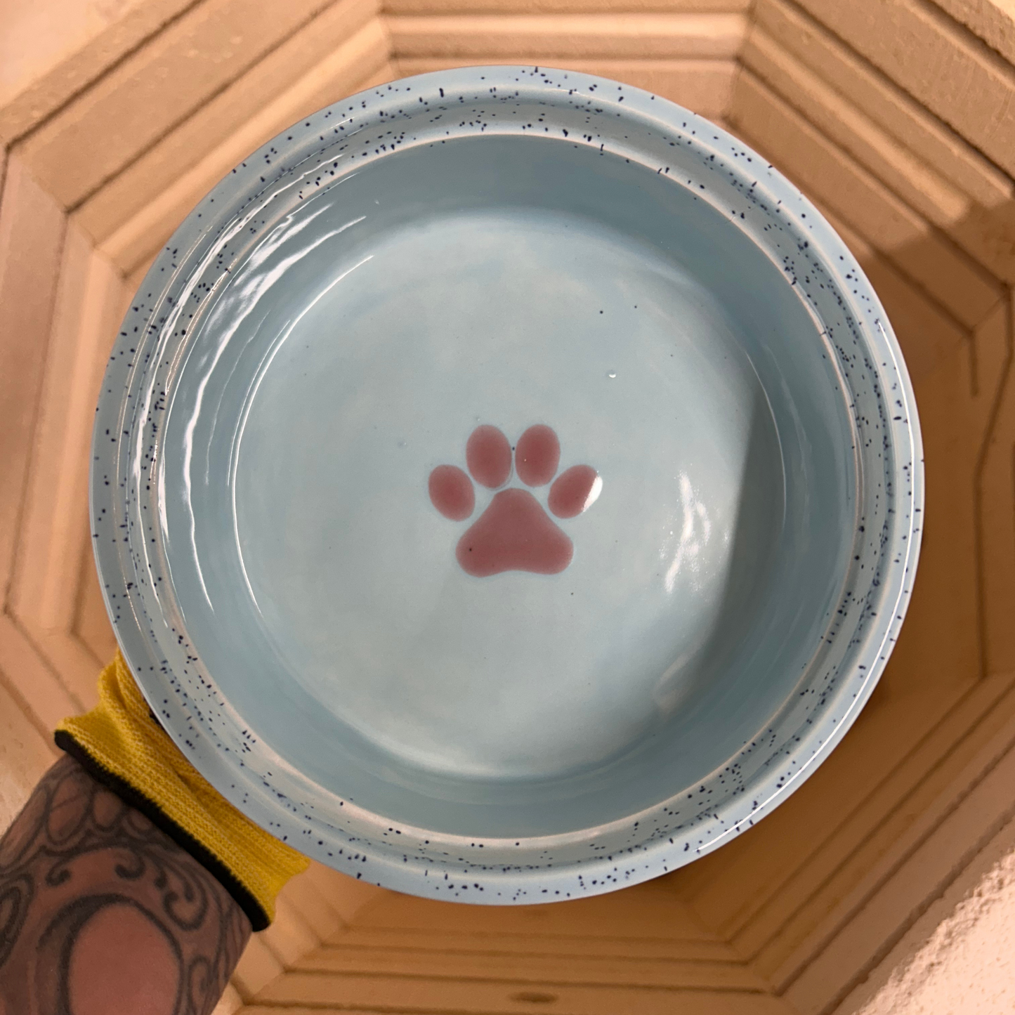Paint a Dog Bowl Workshop